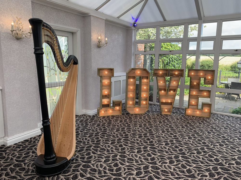 Bethan Griffiths - Harpist