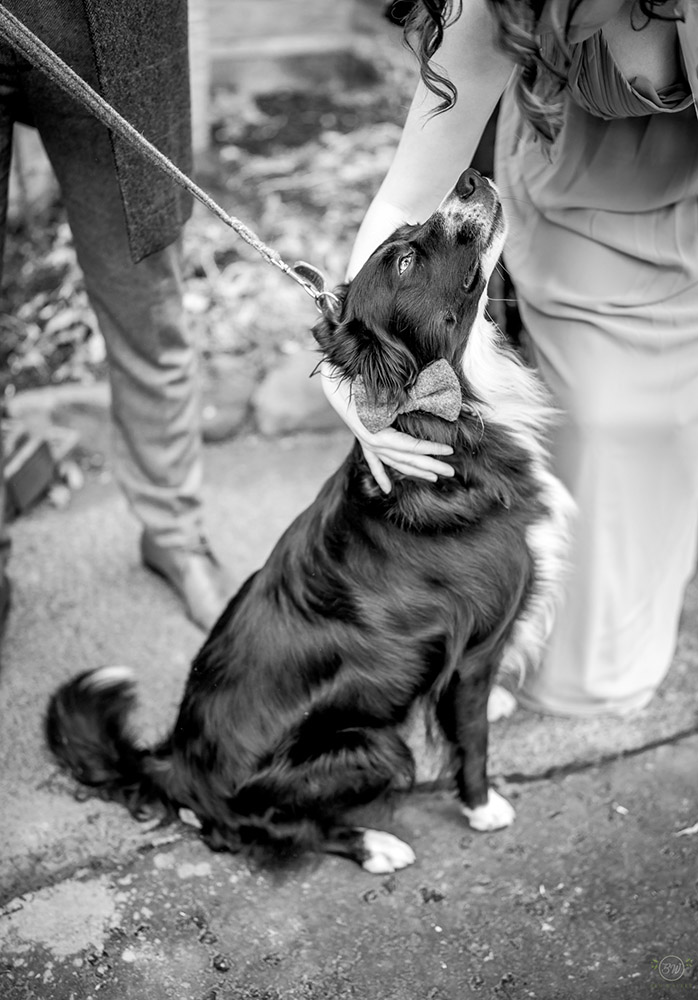 ben-walker-photograhy-bouquet-and-bells